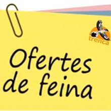 OFERTA DE FEINA: Busquem persones joves per a treballar a Trenca!