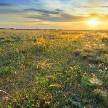 Impulsamos la protección de los secanos de Lleida, un tesoro olvidado de nuestra naturaleza