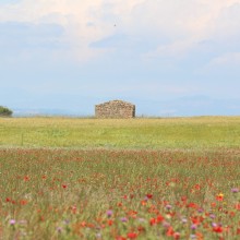Comenzamos con un nuevo proyecto de educación sobre los secanos de Lleida