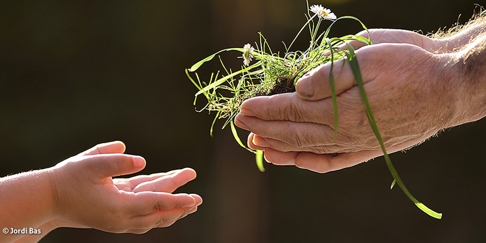 LAND STEWARDSHIP